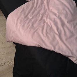 15961581.jpg