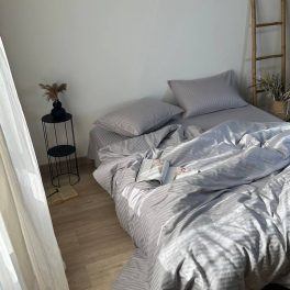 17205230.jpg