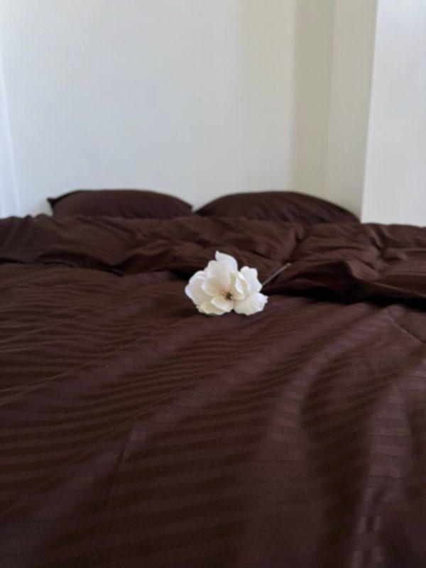 26115726.jpg 26115726.jpg