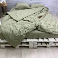 31357048.jpg