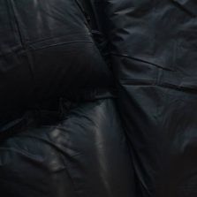 33781986.jpg