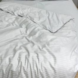 36108507.jpg
