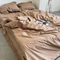 42443269.jpg