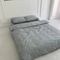 55661697.jpg