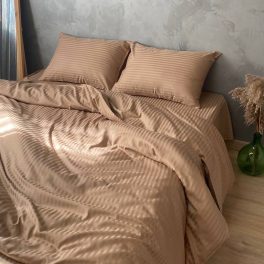 56490762.jpg