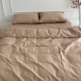 61513369.jpg