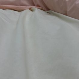 84244006.jpg