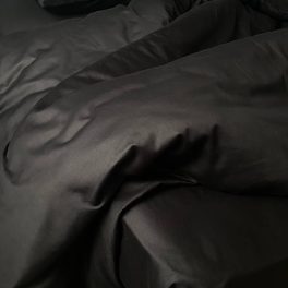 89060981.jpg