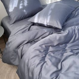 92253808.jpg