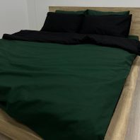94529577.jpg