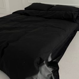 94592058.jpg