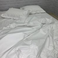 97542533.jpg