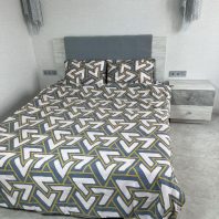 29441480.jpg