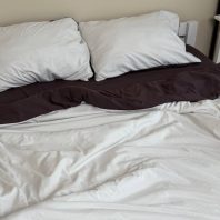 35915584.jpg