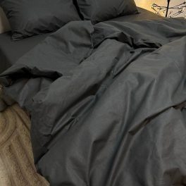 82660300.jpg