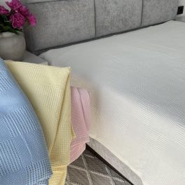 IMG_0512